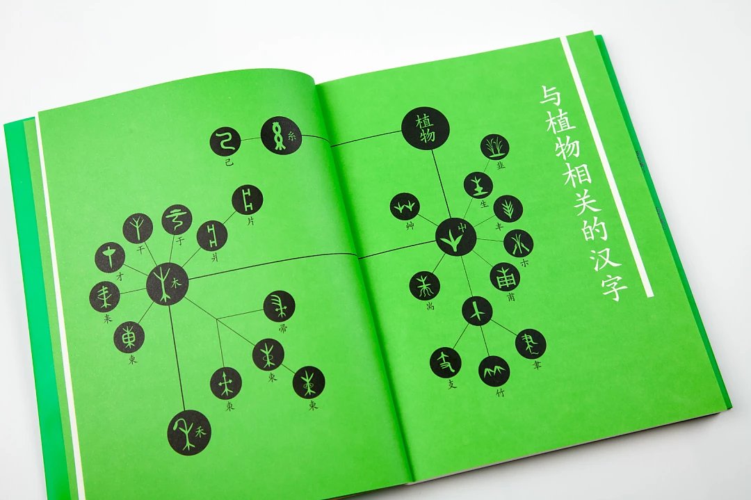 汉字树系列 珍藏套装全8册