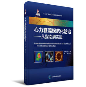 心力衰竭规范化防治——从指南到实践 杨杰孚 主编 北医社