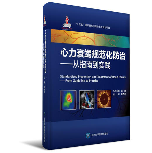 心力衰竭规范化防治——从指南到实践 杨杰孚 主编 北医社 商品图0