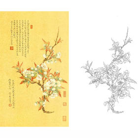 任重竖幅工笔花鸟白描底稿-XV10