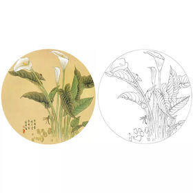 工笔花鸟白描底稿-喻继高-马蹄莲花小品-A393