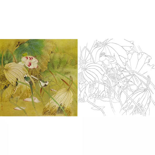 工笔花鸟白描底稿-曹小民-荷花-斗方小品册页-A461 商品图0