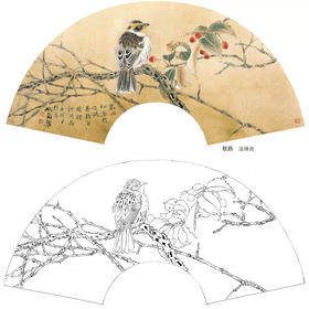 工笔花鸟白描底稿-扇面小品《秋熟》-多种白描尺寸可选-A366