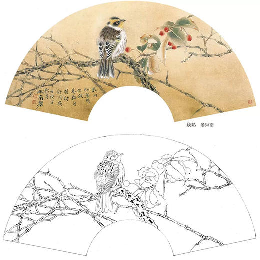 工笔花鸟白描底稿-扇面小品《秋熟》-多种白描尺寸可选-A366 商品图0