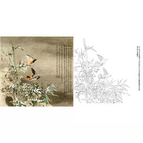 任重工笔花鸟白描底稿-斗方小品册页-XV11