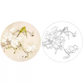 梁燕生工笔花鸟白描底稿--玉兰花鹦鹉小品-A384