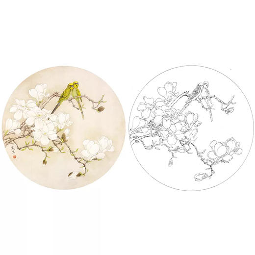 梁燕生工笔花鸟白描底稿--玉兰花鹦鹉小品-A384 商品图0