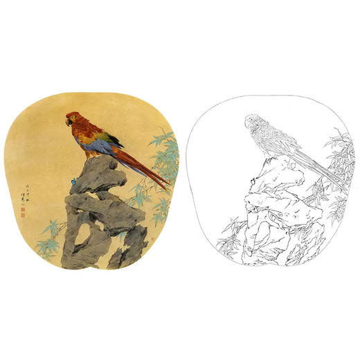 工笔花鸟白描底稿-邹传安-鹦鹉小品-A370 商品图0