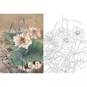 工笔花鸟白描底稿-贾广健-荷花-斗方小品册页-A535