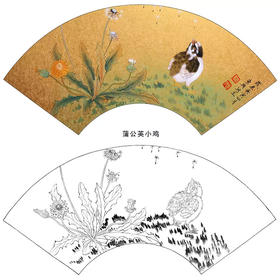 工笔花鸟白描底稿-王东兴-蒲公英小鸡扇面小品-多种白描尺寸可选-A335