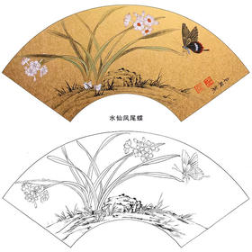 工笔花鸟白描底稿-王东兴-水仙花蝴蝶凤尾蝶扇面小品-多种白描尺寸可选-A338