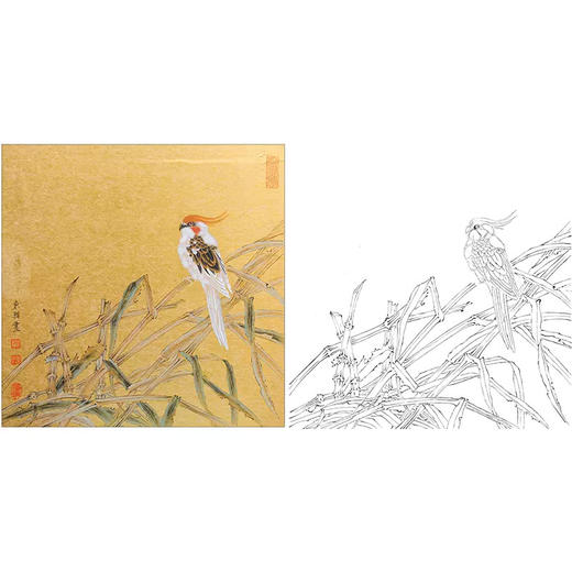 工笔花鸟白描底稿-王东兴-斗方小品册页-A379 商品图0