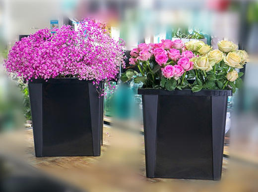 方形高级保鲜花桶，陈列花桶（不包邮） 商品图1