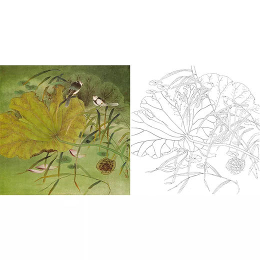 工笔花鸟白描底稿-曹小民-荷花-斗方小品册页-A458 商品图0