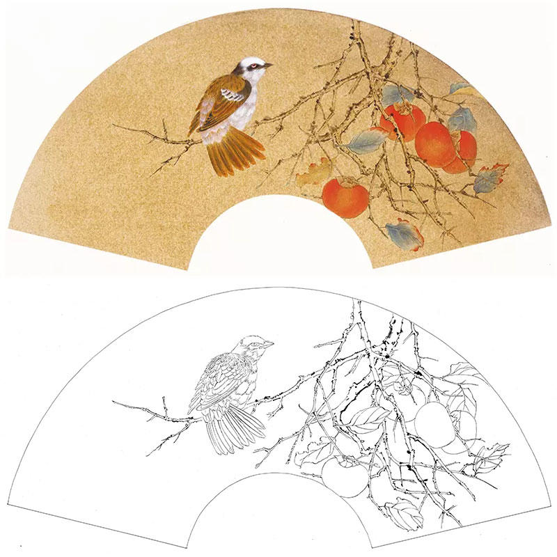 扇面白描底稿-工笔花鸟-柿子-a348