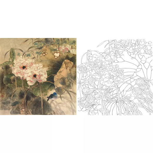 工笔花鸟白描底稿贾广健荷花斗方小品册页a450