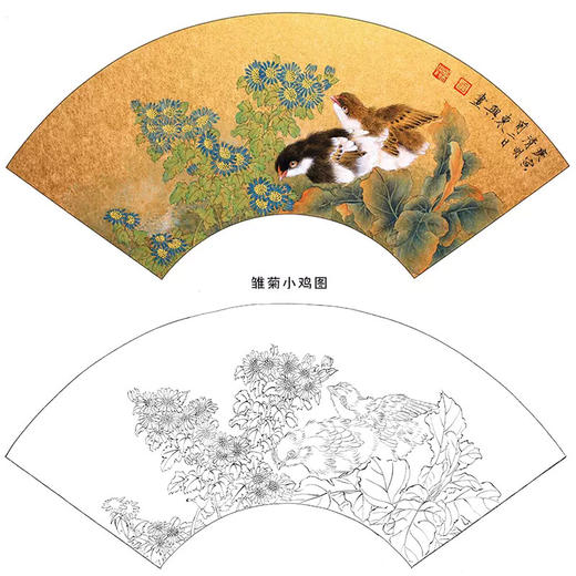 工笔花鸟白描底稿-王东兴-菊花扇面小品《雏菊小鸡图》-多种白描尺寸可选-A334 商品图0