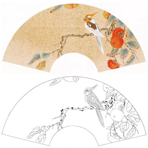 工笔花鸟白描底稿张建军柿子扇面小品a349