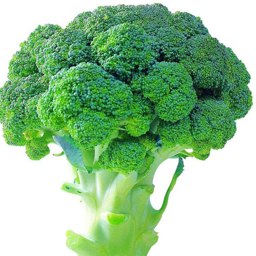 迈绿达优选【西兰花】  1个1.5斤左右 商品图4