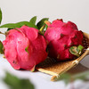 【5斤】越南红心火龙果大果 商品缩略图2