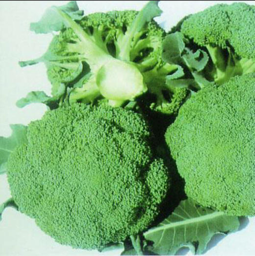 迈绿达优选【西兰花】  1个1.5斤左右 商品图3