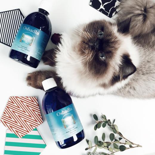 闪电白礼盒 保加利亚白玫瑰纯露500ml+橙花纯露500ml Oshadhi德国O家 国内发货 商品图6