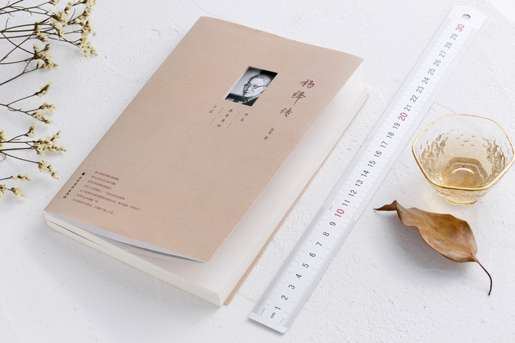 杨绛传 央北 著