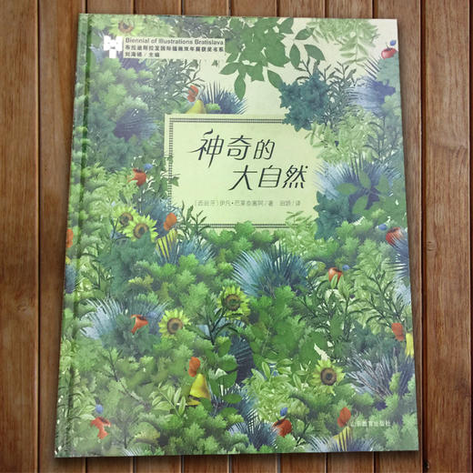 神奇的大自然   布拉迪斯拉发国际插画双年展（BIB）获奖书系 正版精装绘本 国际插画大师作品 3-8岁儿童读物 查看标题打分 商品图4