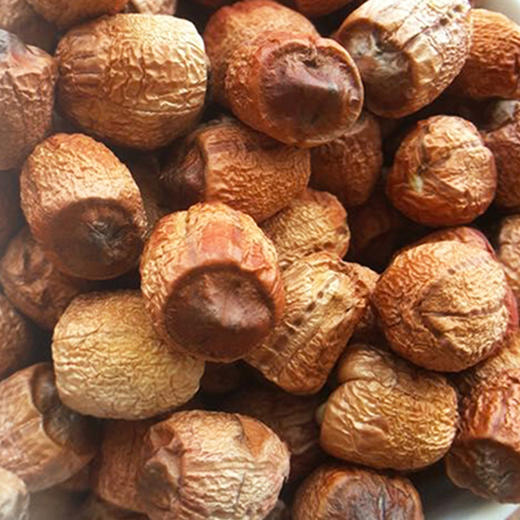 爱家甄选江西广昌手工赤莲色红粒大富含莲芯碱清心去火350g罐