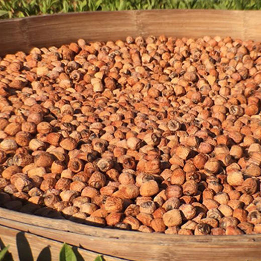 爱家甄选江西广昌手工赤莲色红粒大富含莲芯碱清心去火350g罐