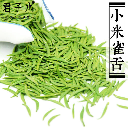 颗颗独芽【雀舌茶100g清香味】采摘早春嫩芽 四川高山绿茶 清香四溢 明前高档茶叶 商品图0