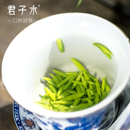 颗颗独芽【雀舌茶100g清香味】采摘早春嫩芽 四川高山绿茶 清香四溢 明前高档茶叶 商品图2