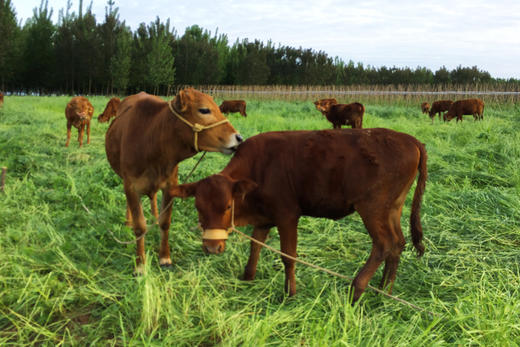 2000元礼品包 商品图2