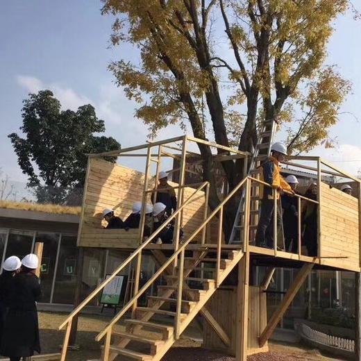 【树屋寻宝】告别城市水泥森林,开启树屋寻宝之旅!