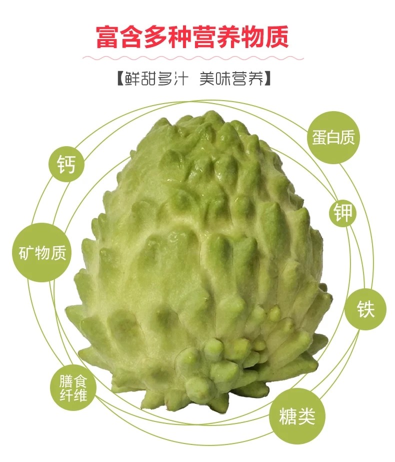 海南释迦果