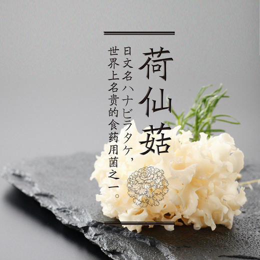 荷仙菇超细粉（日常装） 商品图1