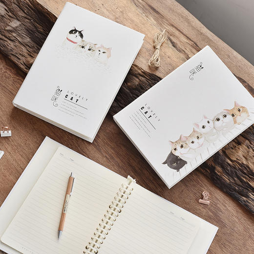 三年二班可爱少女活页夹本笔记本文具a5小清新学生硬面记事本子