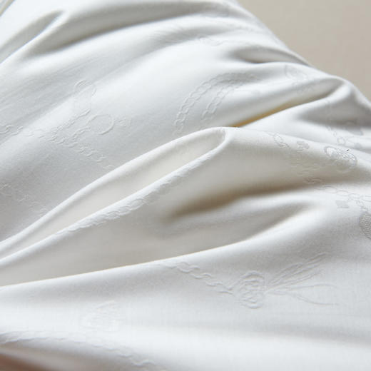 【百富精选】江南蚕丝复合枕 商品图2