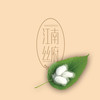【百富精选】江南蚕丝复合枕 商品缩略图7