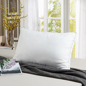 【百富精选】江南蚕丝复合枕