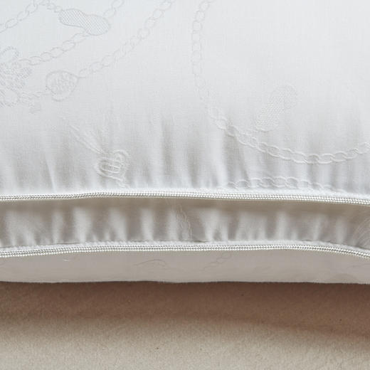 【百富精选】江南蚕丝复合枕 商品图4