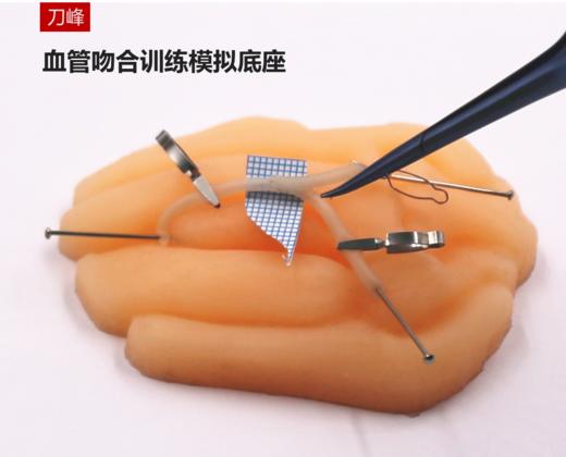 血管吻合训练模拟底座（具体价格请联系客服） 商品图0