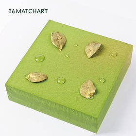 慕色森林2磅-限时特价