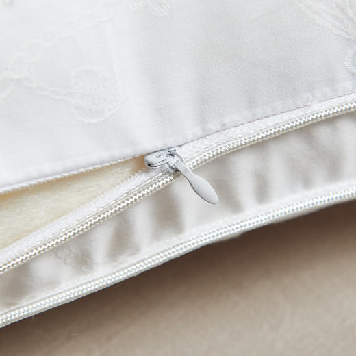 【百富精选】江南蚕丝复合枕 商品图5