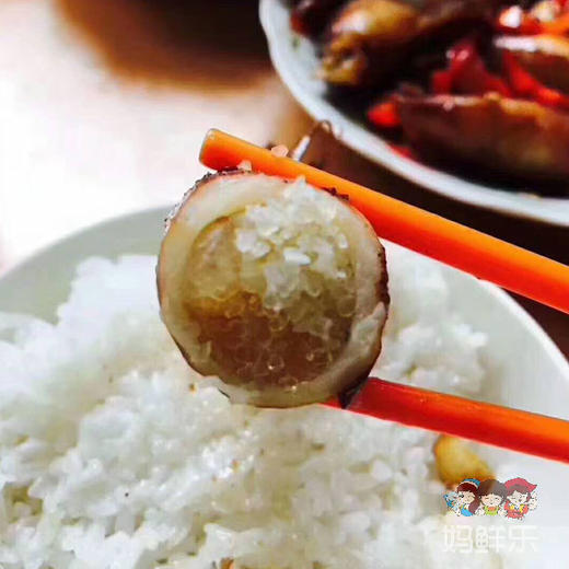 【熟膏鱿鱼饭】野生有籽鱿鱼，潮汕特色传统鱼饭 味美质优 每份约400克 商品图4