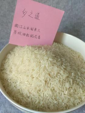 马坝油粘米 / 丝苗米/ 夏季香粘 外仓发货