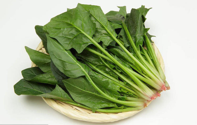 菠菜
