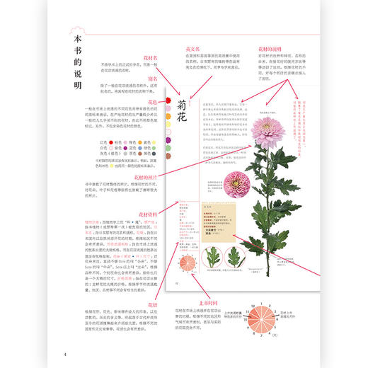 花图鉴421种人气花艺素材图解 插花书籍教程入门 花艺素材大全 商品图1