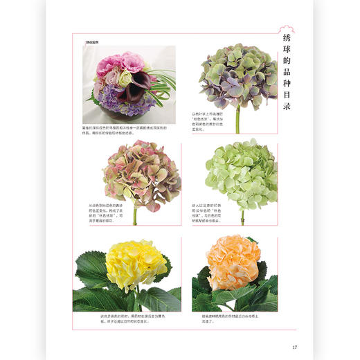 花图鉴421种人气花艺素材图解 插花书籍教程入门 花艺素材大全 商品图2