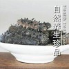 大连淡干海参【250克】 商品缩略图0